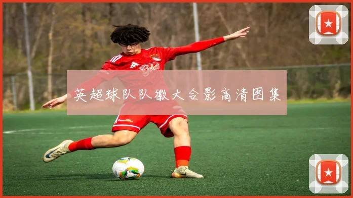 英超球队队徽大合影高清图集