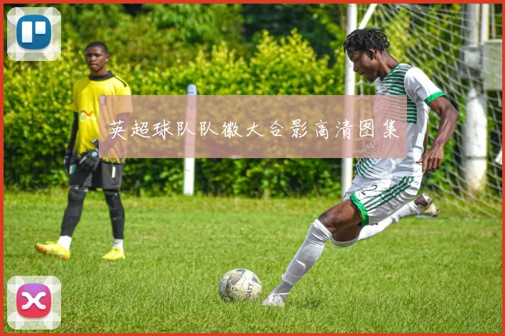 英超球队队徽大合影高清图集