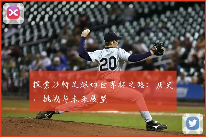 探索沙特足球的世界杯之路：历史、挑战与未来展望