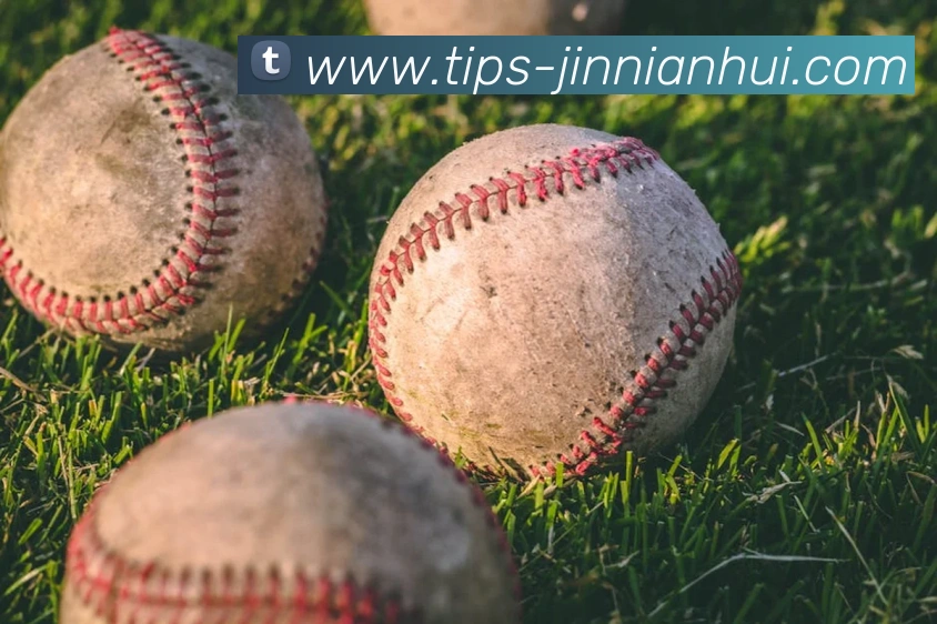 金年会服务体系